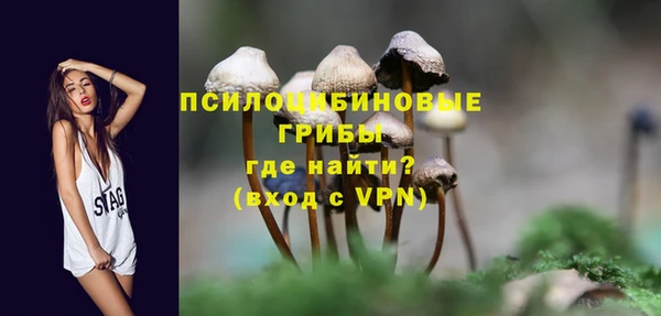 амфетамин Белокуриха