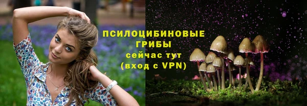 амфетамин Белокуриха